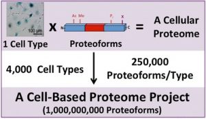 Conceptualization of the Human Proteoform Project