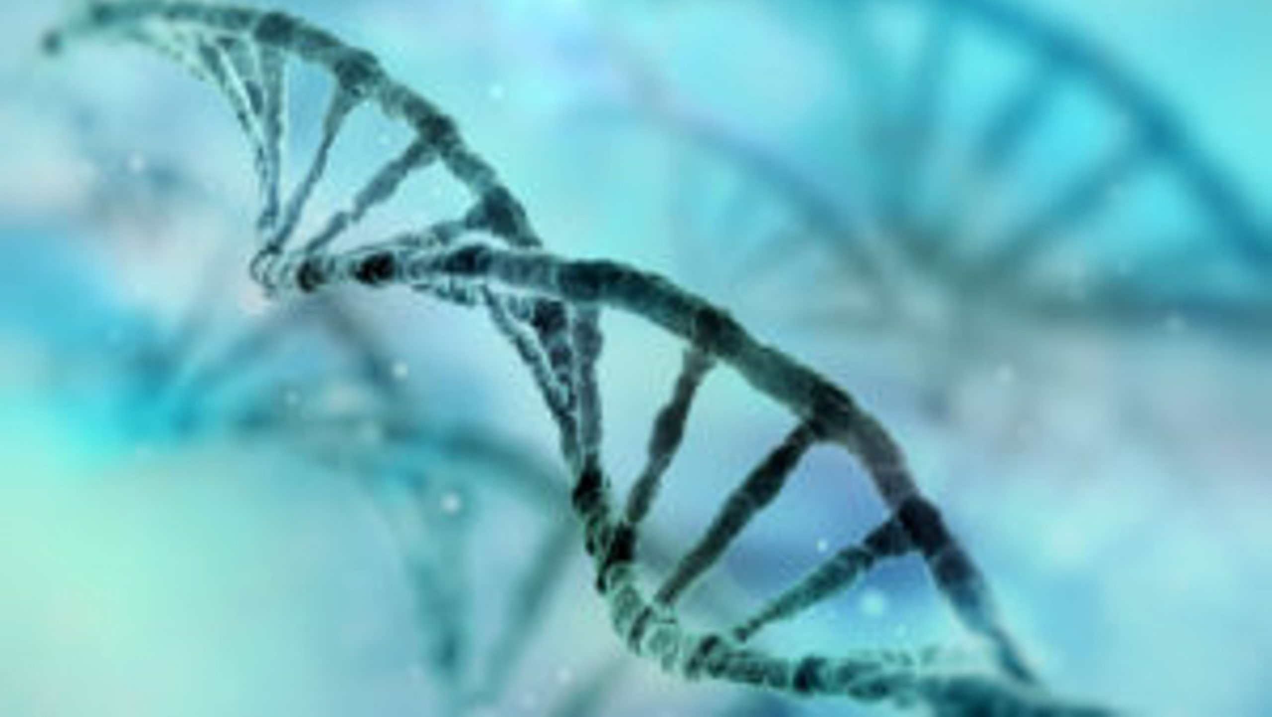 Scientists Discover Novel Cellular Mechanisms Behind Transcription 